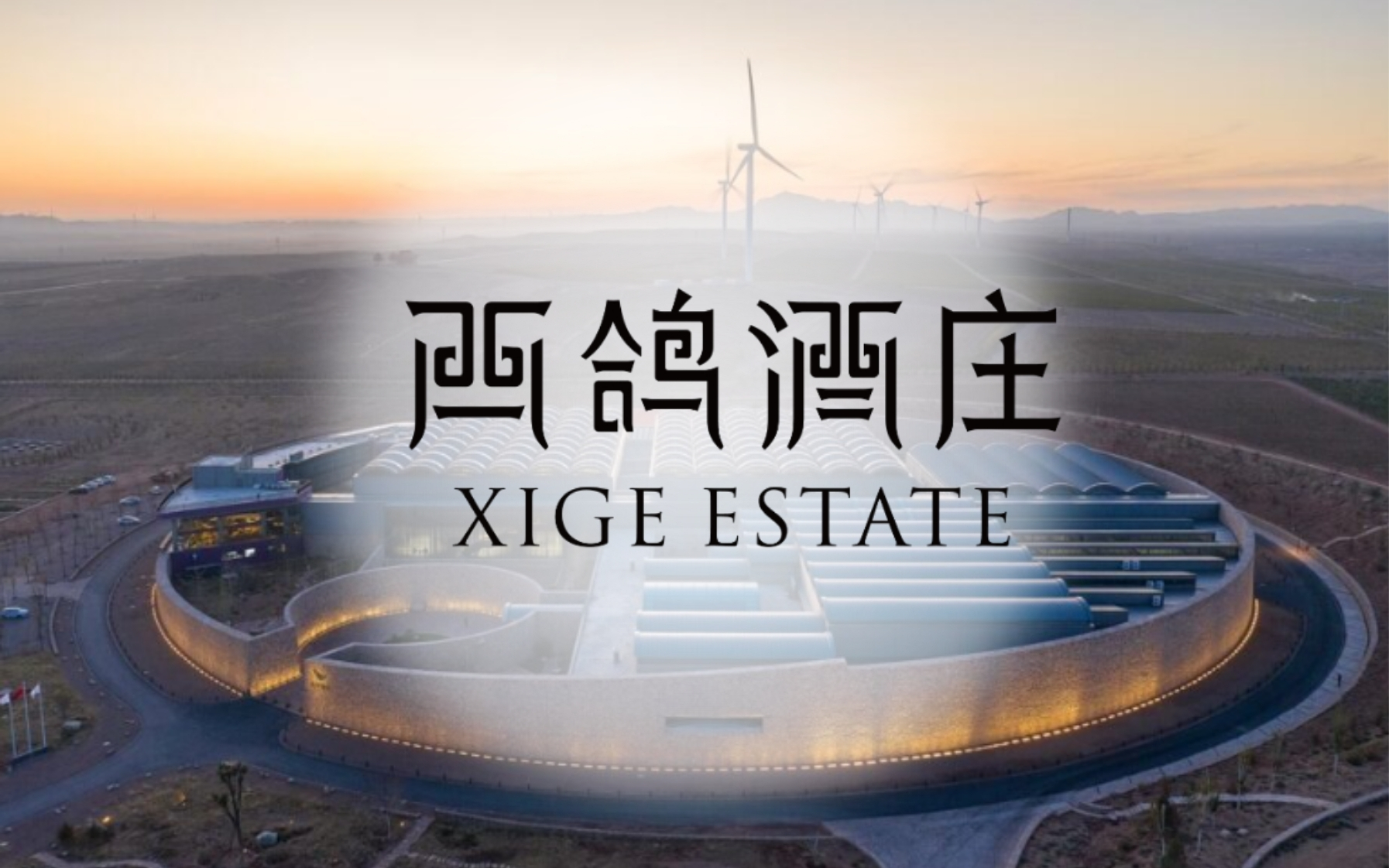 Xige Estate y Mystic Island: automatización con VinWizard